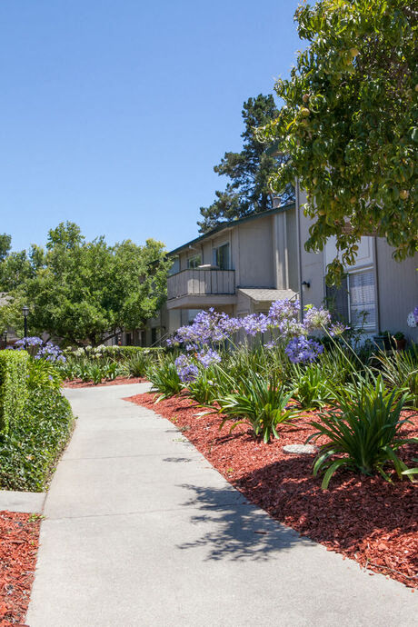 Campbell West Apartments photo 4